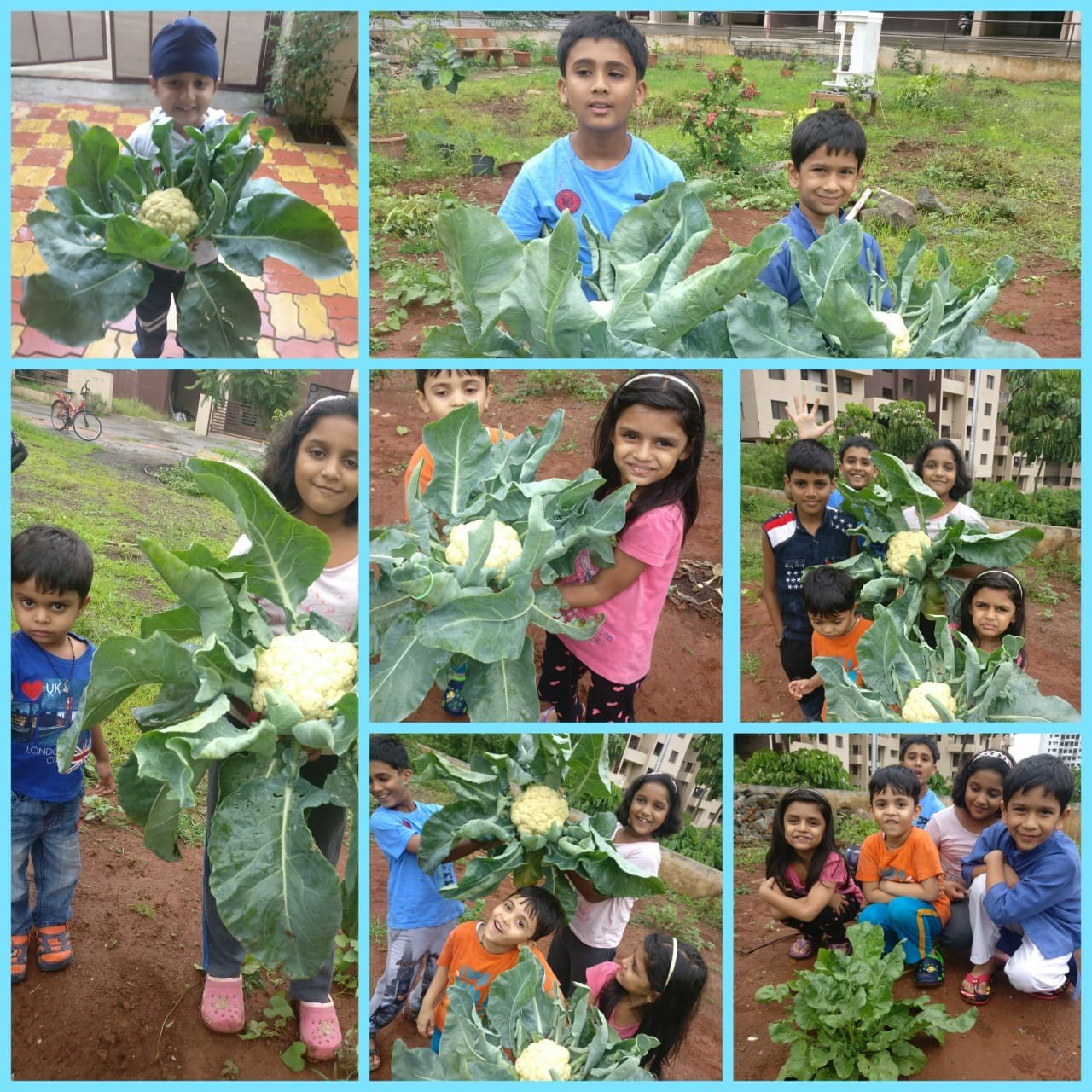 A Veggie Tale: Inculcating love and sensitivity towards nature at young age