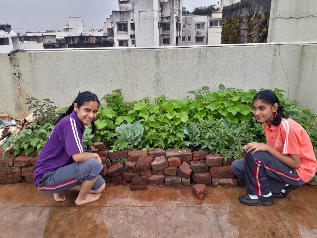 School in Pune has terrace garden blossoming on dry leaves and nirmalya from 2000 households