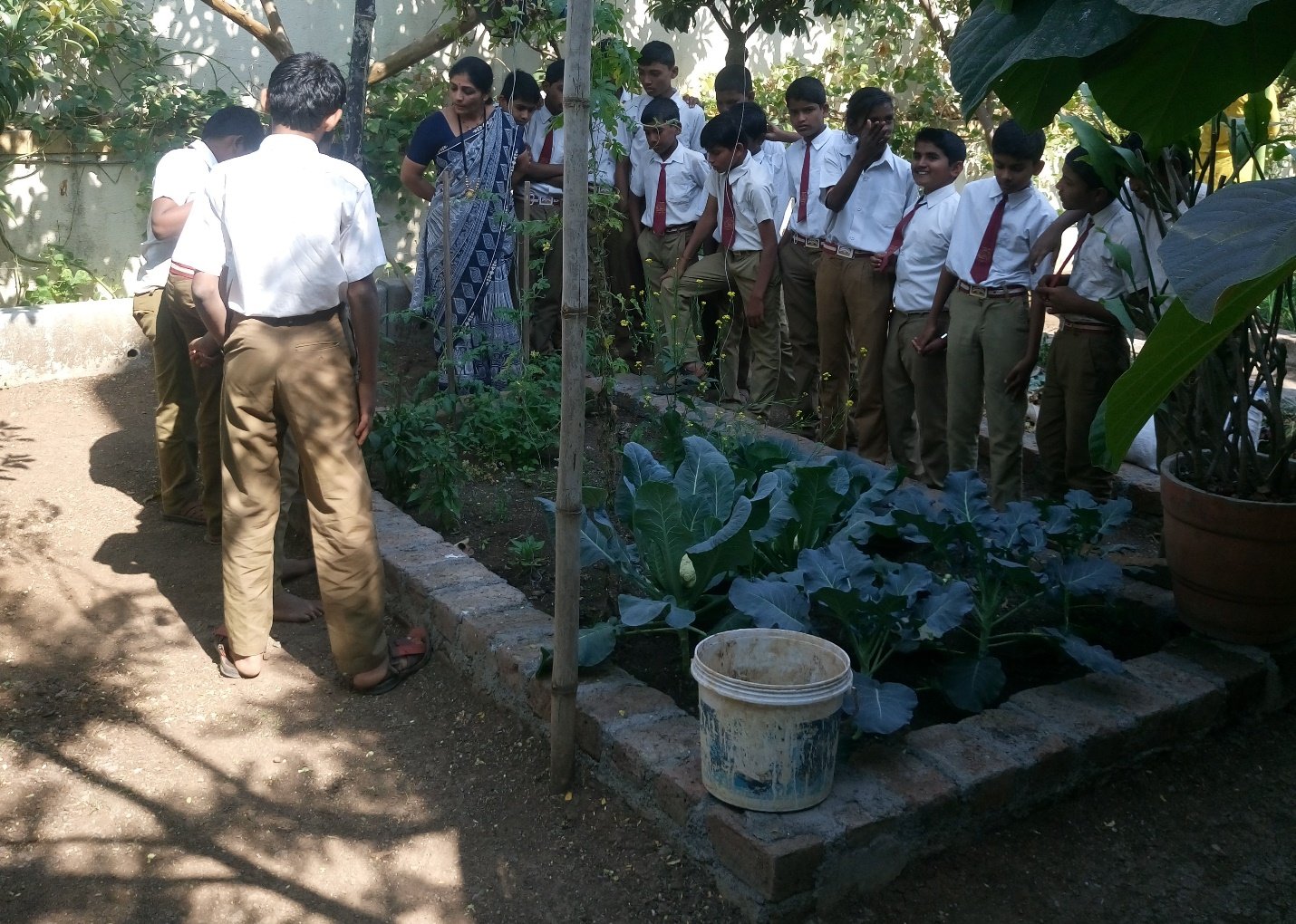 A group of people standing next to a tree Description automatically generated