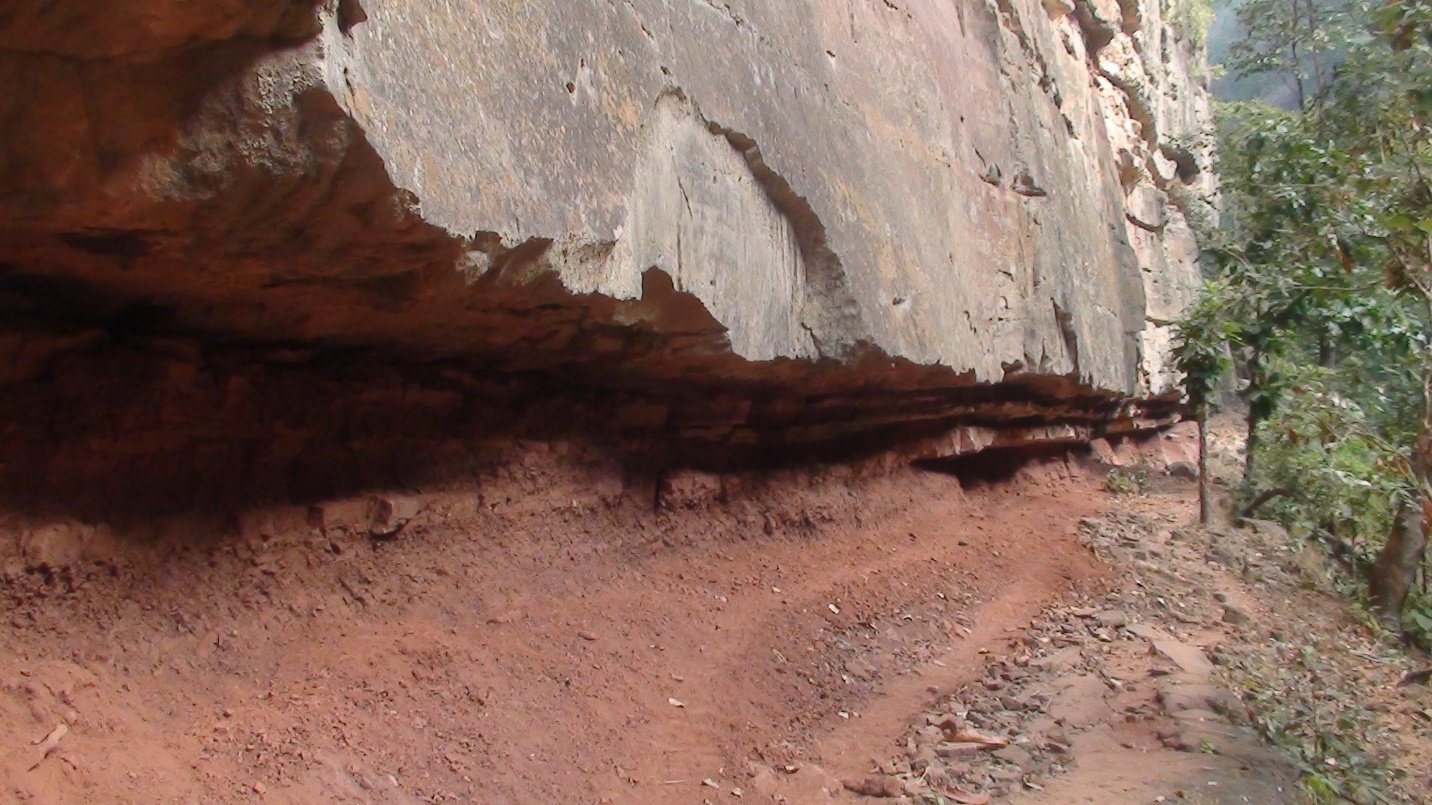 A close up of a rock

Description generated with very high confidence