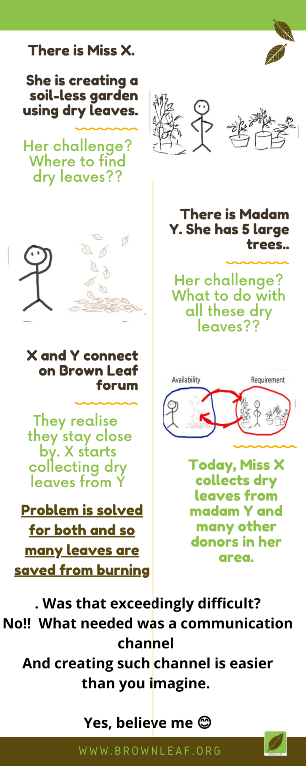 brown leaf community