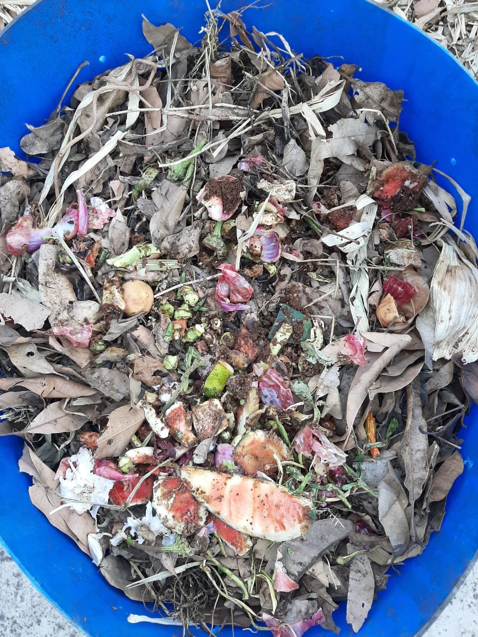 A bowl of salad on a blue plate

Description automatically generated