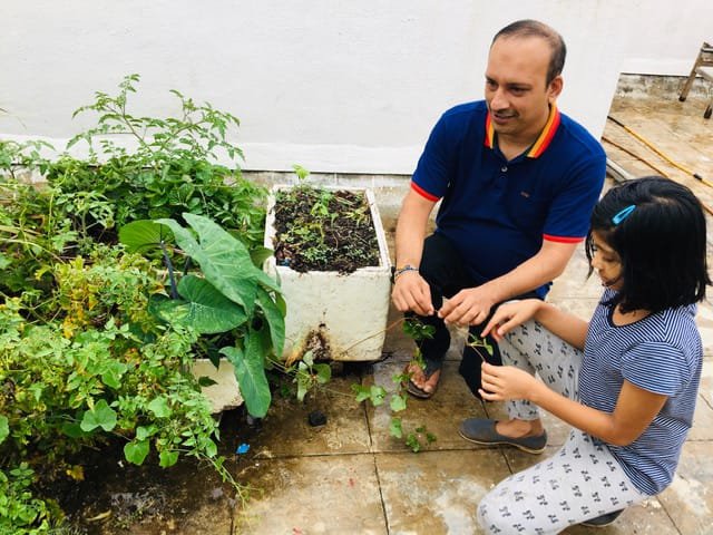 My Terrace Gardening Experience