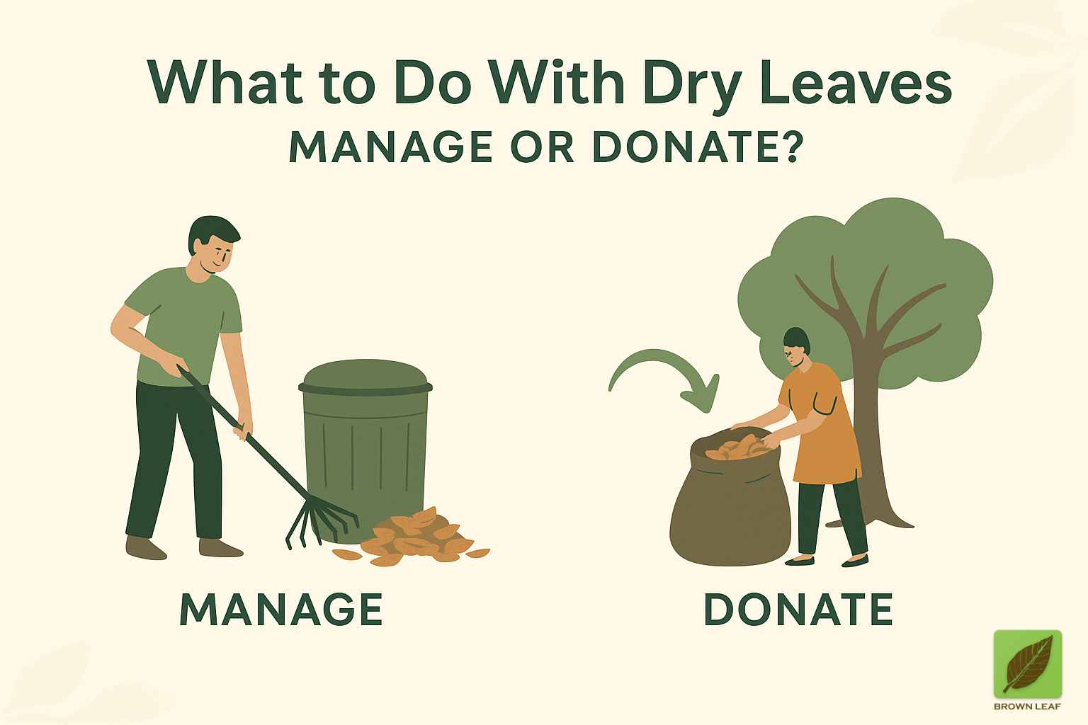 You are currently viewing What to Do With Dry Leaves — Manage or Donate?